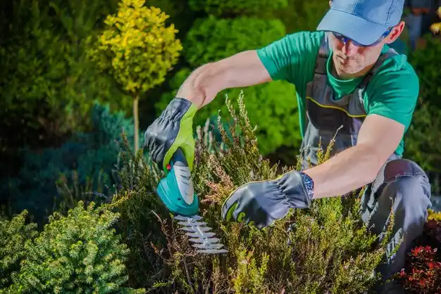landscaping services Exeter